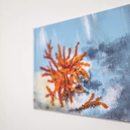 לינה וארוחת בוקר Acquapazza ברינדיזי