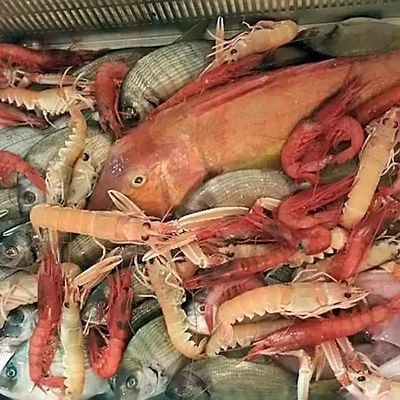 Acquapazza Oda ve Kahvaltı 4*