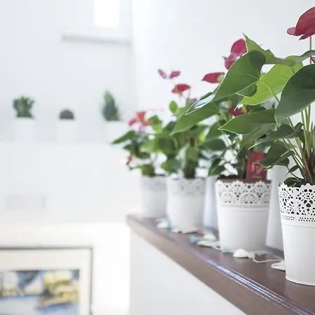 לינה וארוחת בוקר Acquapazza