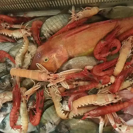 Frühstückspension Acquapazza